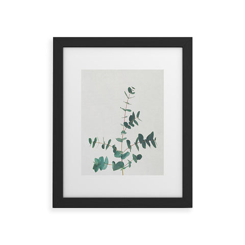 Cassia Beck The Eucalyptus Framed Art Print