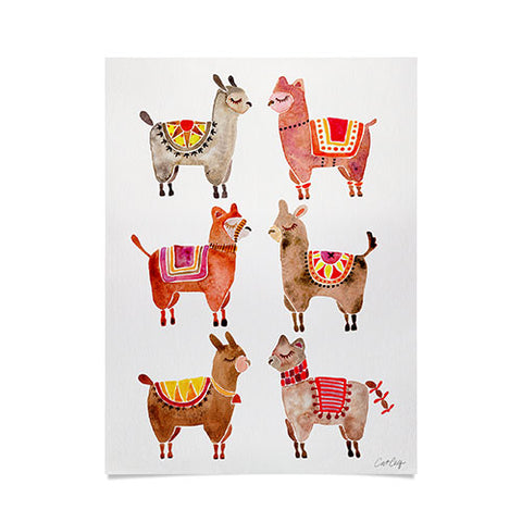 Cat Coquillette Alpacas by Cat Coquillette Poster