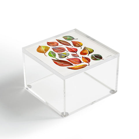 Cat Coquillette Autumn Leaf Collection Acrylic Box