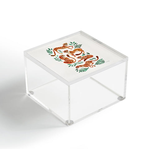 Cat Coquillette Cheetah Collection in Orange Acrylic Box