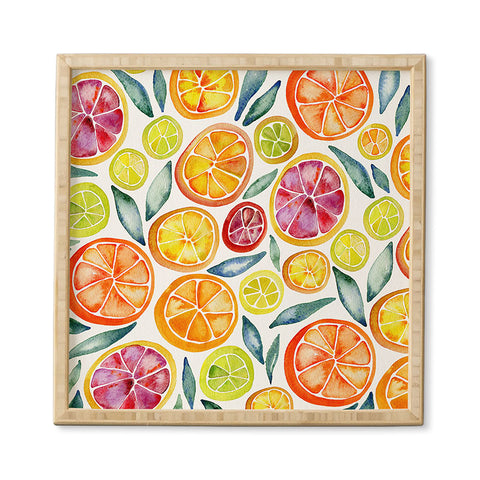 Cat Coquillette Citrus Slices Pattern Framed Wall Art