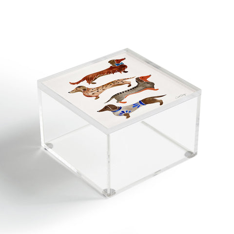 Cat Coquillette Dachshunds by CatCoq Acrylic Box