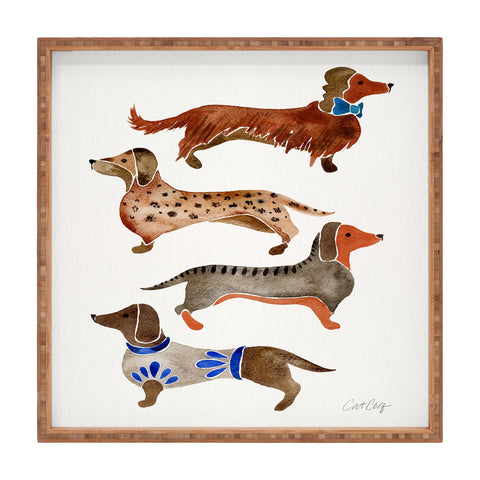 Cat Coquillette Dachshunds by CatCoq Square Tray