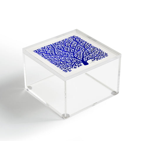 Cat Coquillette Fan Coral Navy Acrylic Box