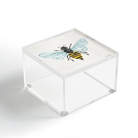 Cat Coquillette Honey Bee Acrylic Box