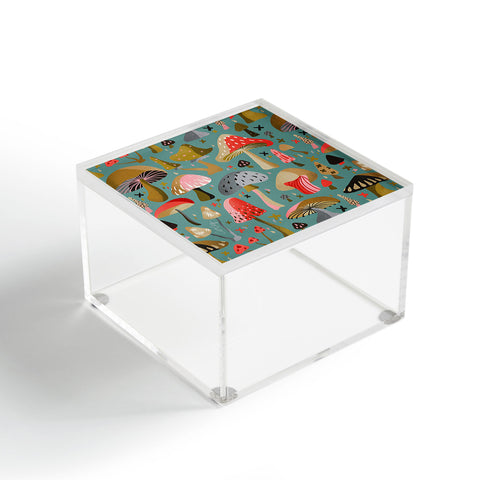 Cat Coquillette Mushroom Collection Mint Acrylic Box