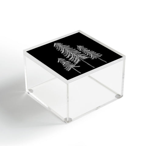 Cat Coquillette Pine Trees Black Ink2 Acrylic Box