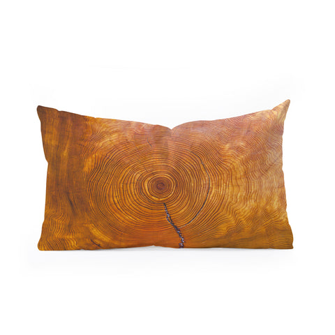 Catherine McDonald A Thousand Years Oblong Throw Pillow