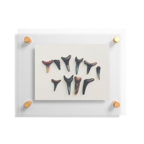 Catherine McDonald Amelia Island Shark Teeth Floating Acrylic Print