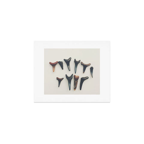 Catherine McDonald Amelia Island Shark Teeth Art Print