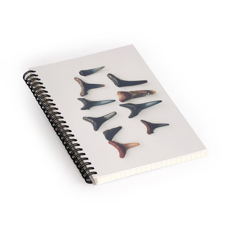 Catherine McDonald Amelia Island Shark Teeth Spiral Notebook