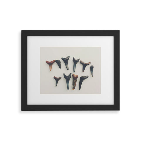 Catherine McDonald Amelia Island Shark Teeth Framed Art Print