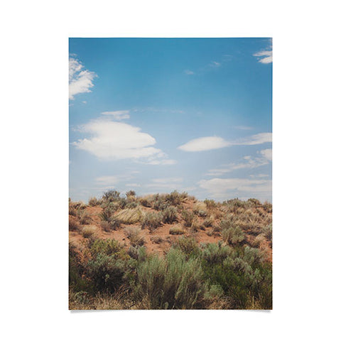 Catherine McDonald Arizona Painted Desert Poster