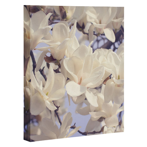Catherine McDonald Asian Magnolias Art Canvas