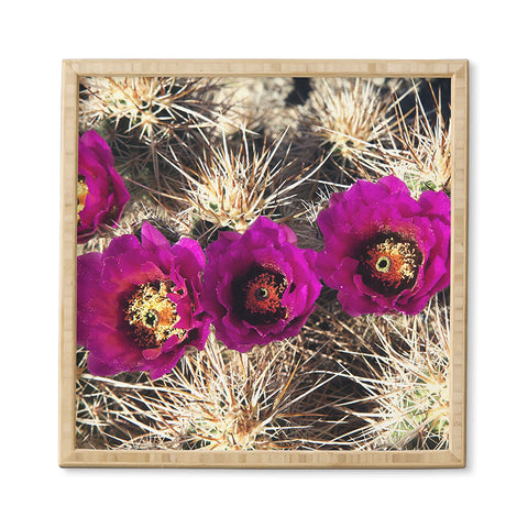 Catherine McDonald Cactus Flowers Framed Wall Art