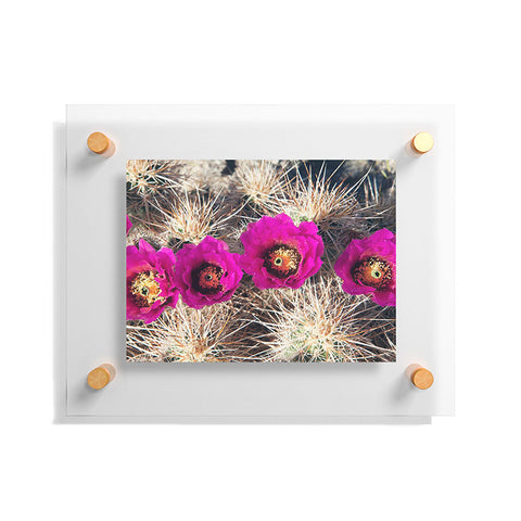 Catherine McDonald Cactus Flowers Floating Acrylic Print