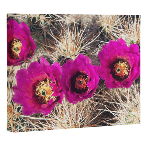 Catherine McDonald Cactus Flowers Art Canvas
