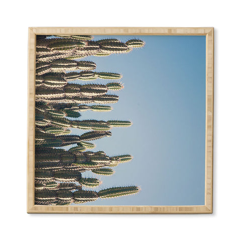 Catherine McDonald Cactus Perspective Framed Wall Art