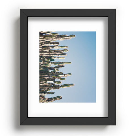 Catherine McDonald Cactus Perspective Recessed Framing Rectangle