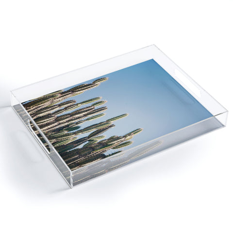 Catherine McDonald Cactus Perspective Horizontal Acrylic Tray