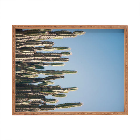 Catherine McDonald Cactus Perspective Horizontal Rectangular Tray