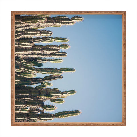 Catherine McDonald Cactus Perspective Horizontal Square Tray