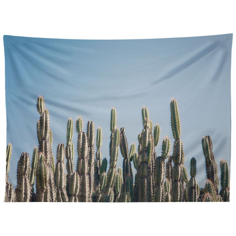 Catherine McDonald Cactus Perspective Horizontal Tapestry