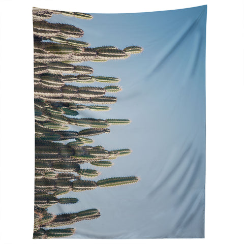 Catherine McDonald Cactus Perspective Tapestry