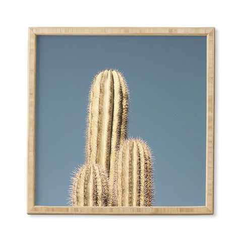 Catherine McDonald Cactus Trio Framed Wall Art