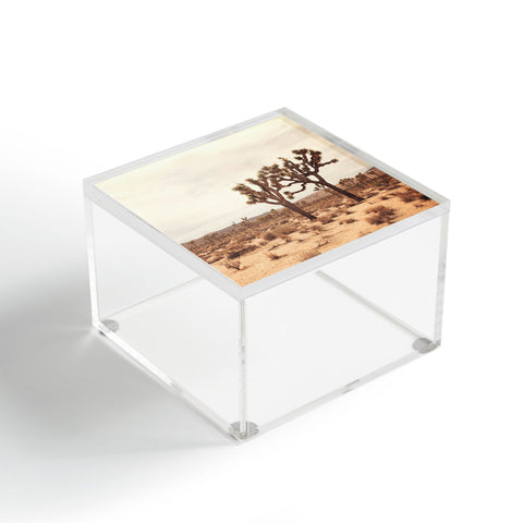 Catherine McDonald California Joshua Trees Acrylic Box