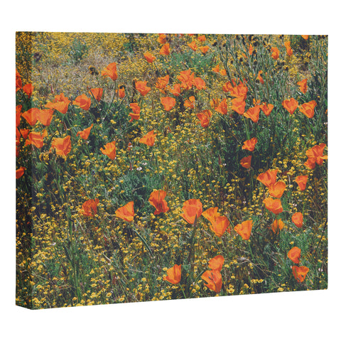 Catherine McDonald California Poppies Art Canvas