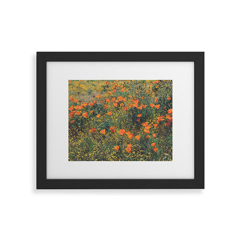 Catherine McDonald California Poppies Framed Art Print