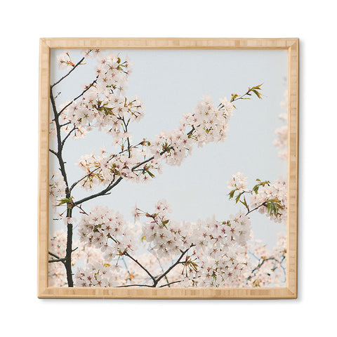 Catherine McDonald Cherry Blossoms In Seoul Framed Wall Art
