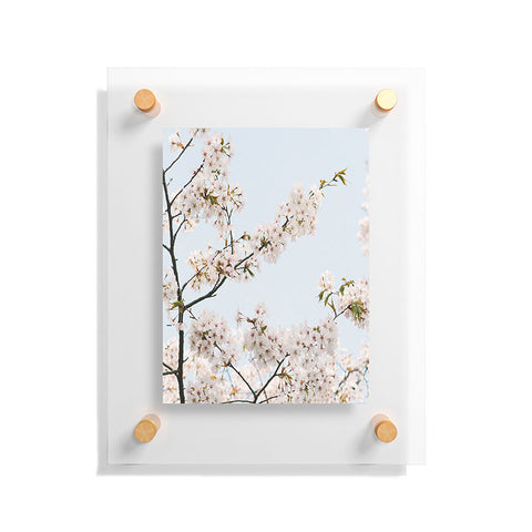 Catherine McDonald Cherry Blossoms In Seoul Floating Acrylic Print