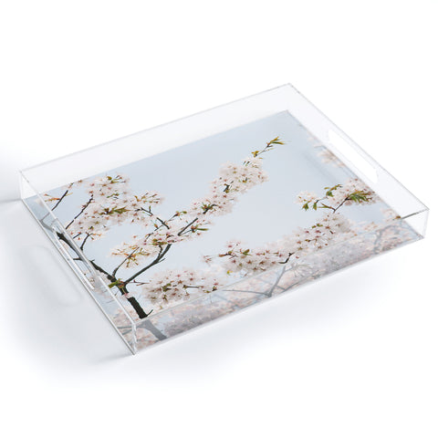 Catherine McDonald Cherry Blossoms In Seoul Acrylic Tray