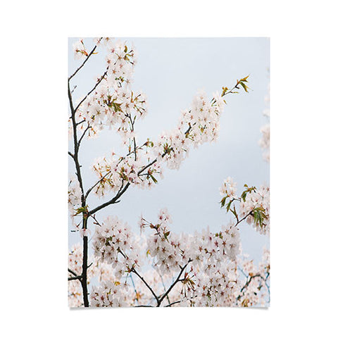 Catherine McDonald Cherry Blossoms In Seoul Poster