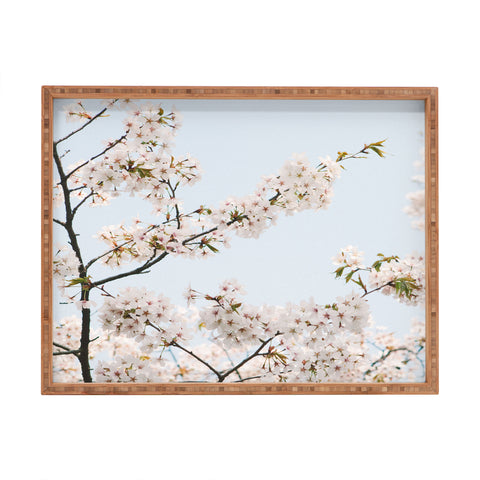 Catherine McDonald Cherry Blossoms In Seoul Rectangular Tray