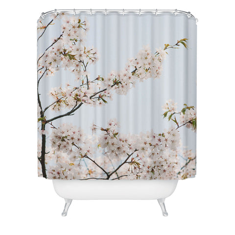 Catherine McDonald Cherry Blossoms In Seoul Shower Curtain
