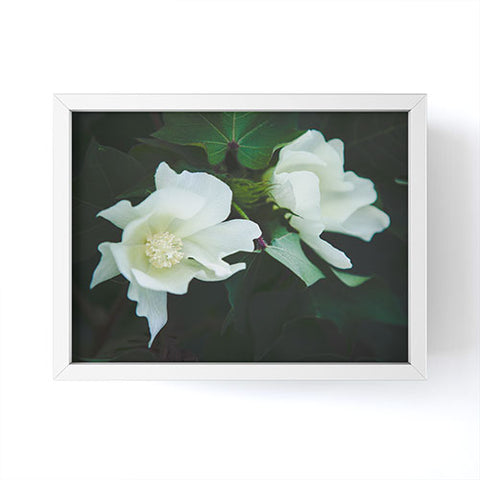 Catherine McDonald Cotton Blossom Framed Mini Art Print