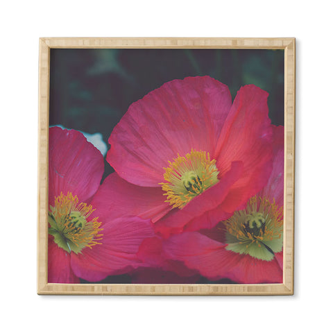 Catherine McDonald Electric Poppies Framed Wall Art