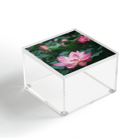 Catherine McDonald Lotus Field Acrylic Box