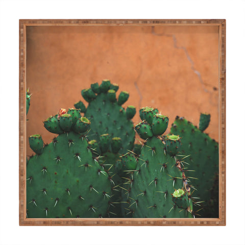 Catherine McDonald New Mexico Prickly Pear Cactus Square Tray