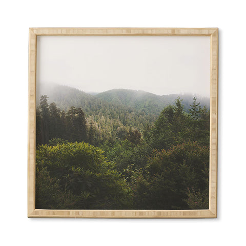 Catherine McDonald Northern California Redwood Forest Framed Wall Art