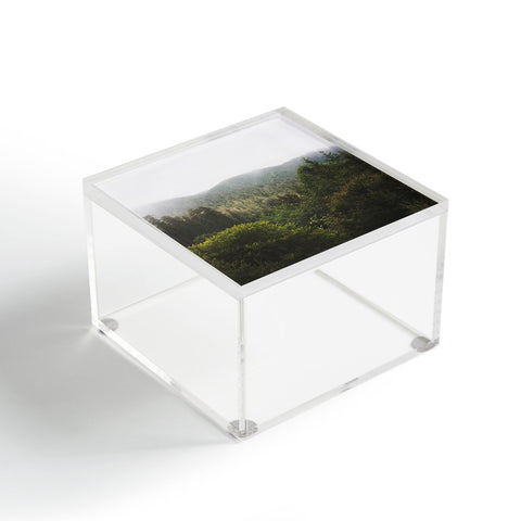 Catherine McDonald Northern California Redwood Forest Acrylic Box