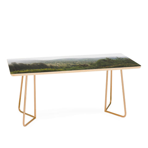 Catherine McDonald Northern California Redwood Forest Coffee Table