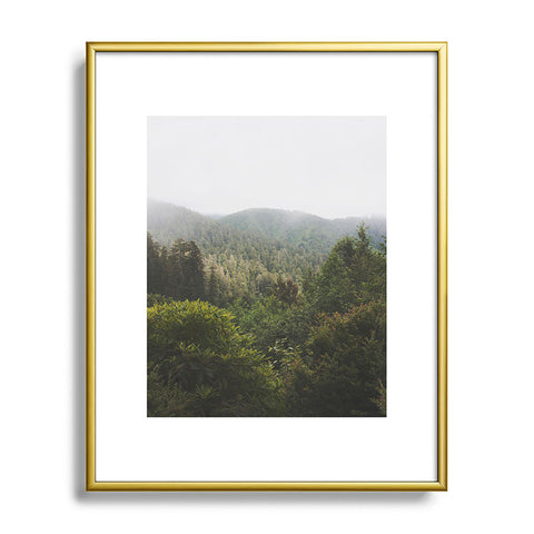 Catherine McDonald Northern California Redwood Forest Metal Framed Art Print