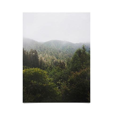 Catherine McDonald Northern California Redwood Forest Poster