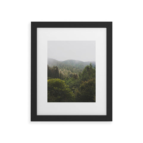 Catherine McDonald Northern California Redwood Forest Framed Art Print