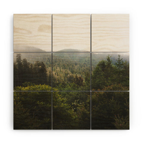 Catherine McDonald Northern California Redwood Forest Wood Wall Mural