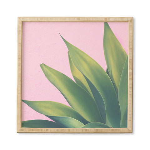 Catherine McDonald Pink Agave Framed Wall Art